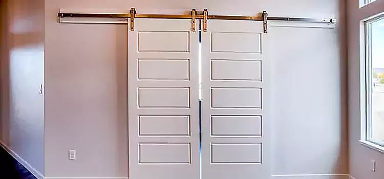 Glass Barn Door with Installation Hardware Kit Santa Monica