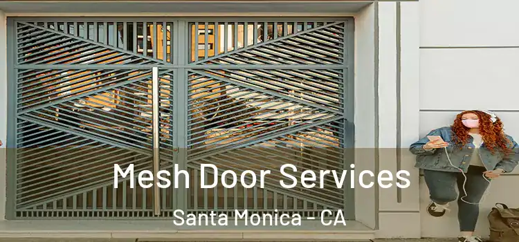 Mesh Door Services Santa Monica - CA